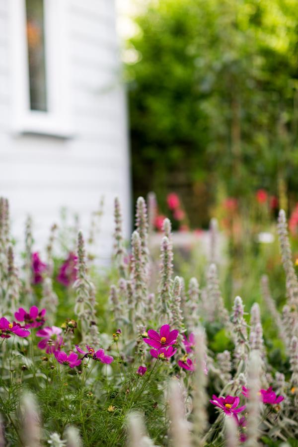 Coghill Cottage Whitianga Extérieur photo